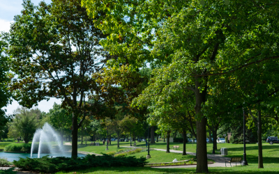 Something for Everyone: The Insider’s Guide to Public Parks in Evanston
